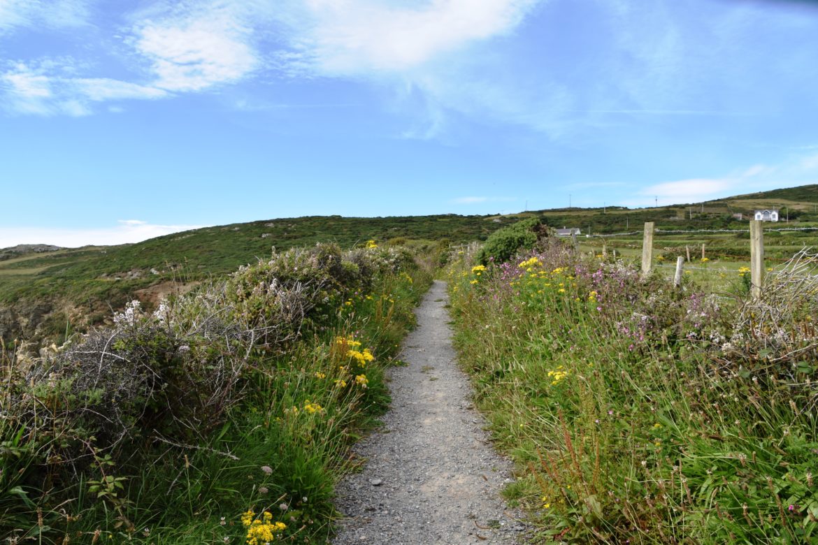Wild Wild Wales – Anglesey